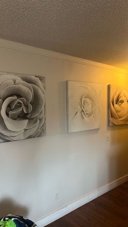 Set of 3 Rose Canvas Wall Art Panels
