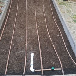 Sprinklers Valves And Drip Systems For Plants 