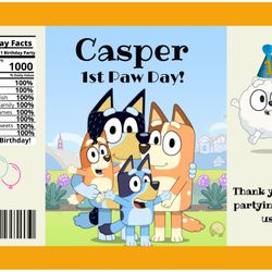 Bluey Decor Chip Bags