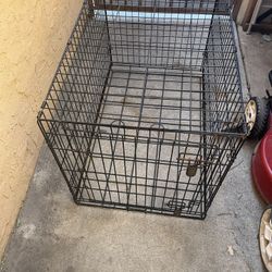 Dog Kennel 