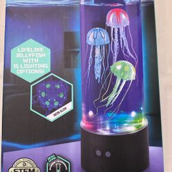 Discovery Jellyfish Aquarium