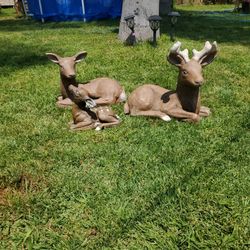 Concrete Deer Set.