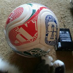 Soccer Ball. Size 5