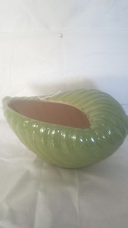 Green Shell Decor.