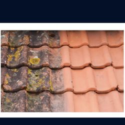 1-Roof Cleaning