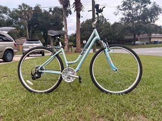Bicycle 29 inch for women