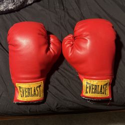 Everlast Boxing Gloves 