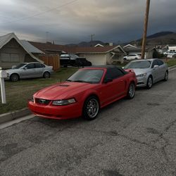 2001 Convertible Mustang