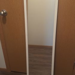 Door Mirror