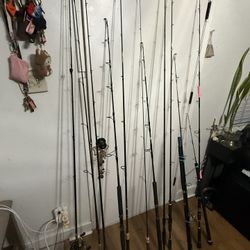 12 Fishing Rods 