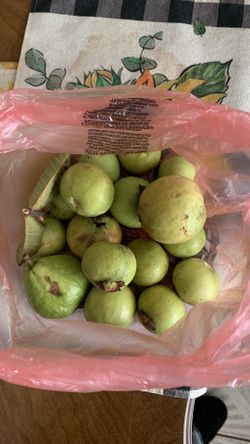 Guava 4$/ Pound 