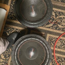 2 American Bass 15’s