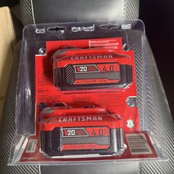 CRAFTSMAN V20 20 -Volt 2 -Pack 
