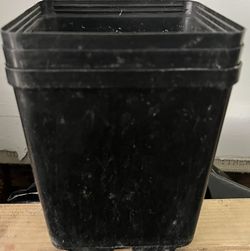 Pots