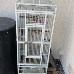 Bird Cage 