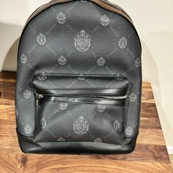 Berluti Leather Canvas Backpack