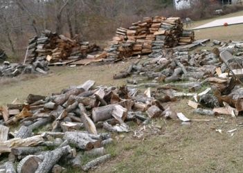 Pecan and oak firewood