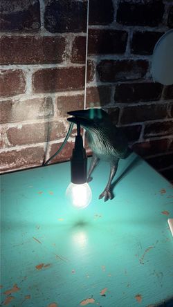 Raven Bird Lamp