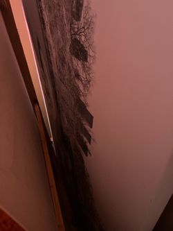Large Canvas Wall Paintings