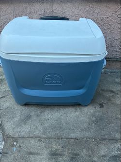 Cooler
