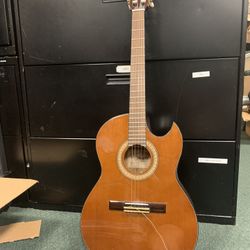 Acoustic / Electric Guitar
