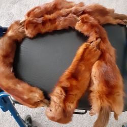 Mink Stole 