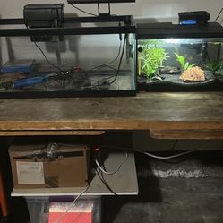 20 Gallon Long Fish Tank And 5 Gallon Fish Tank 