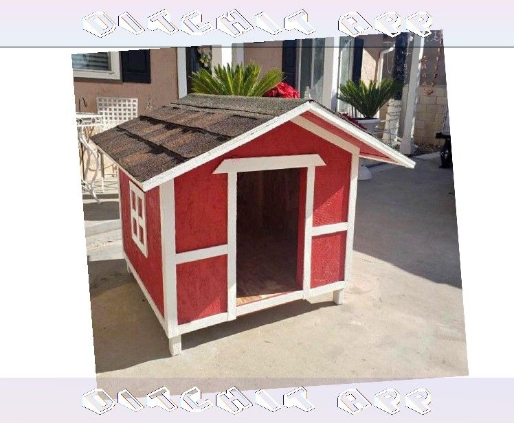 Special Dog Houses - Made for Your Pet's Specific Needs medical of
