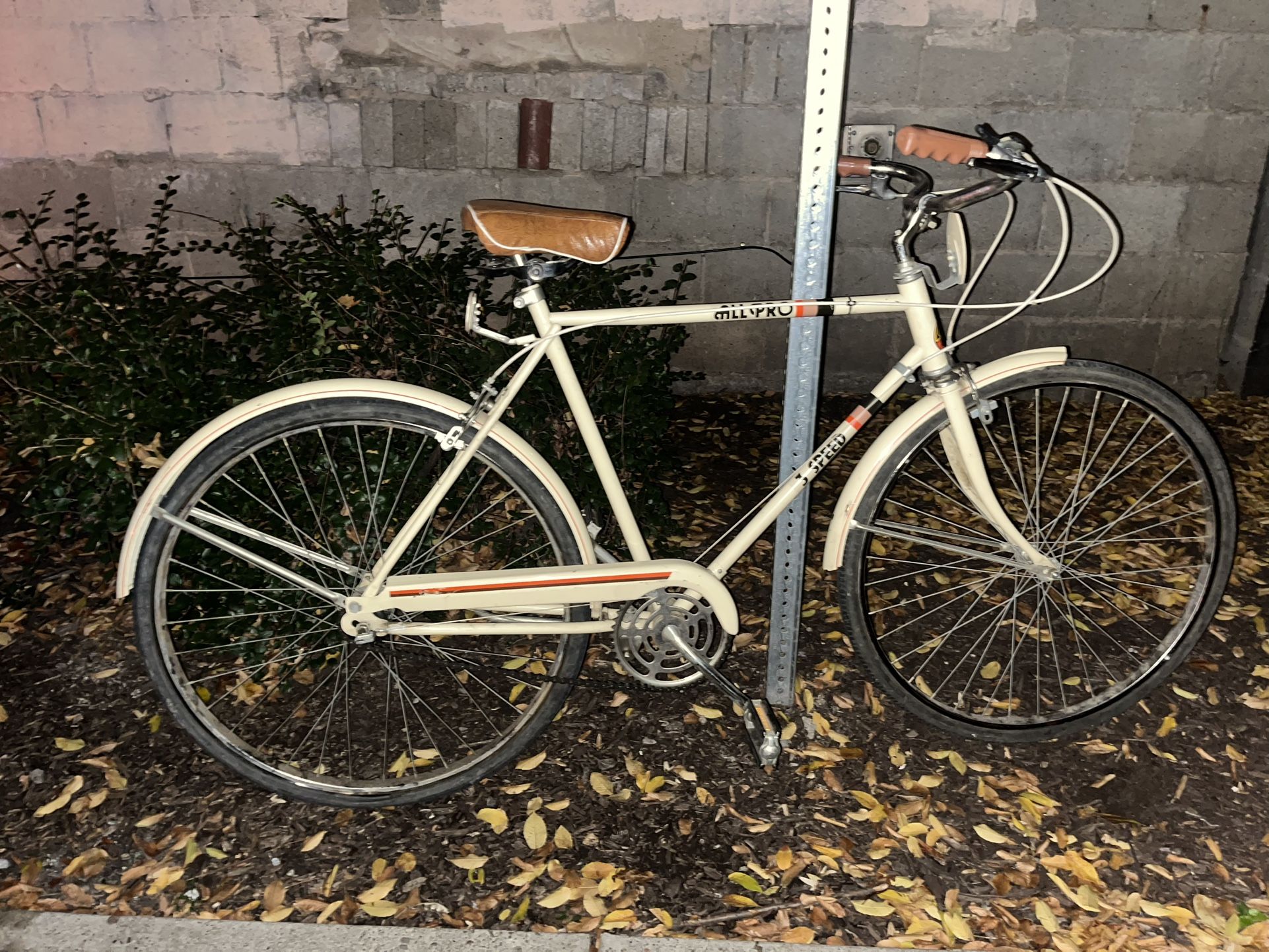 Pedal Bike