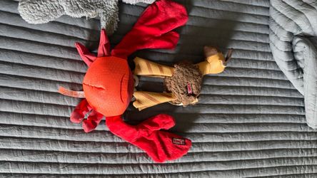 KONG Dog Toys – Set of 2
