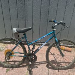 26 Inch Magna Bike 