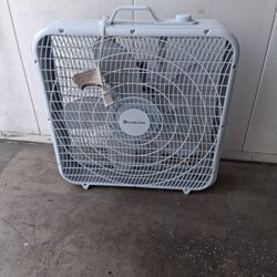 Fan
