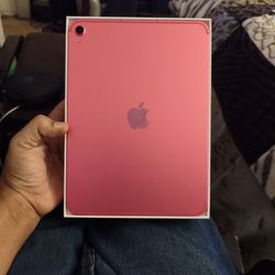 IPad New Open Box 512 GB Pink