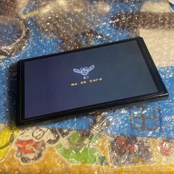 Modded OLED Switch