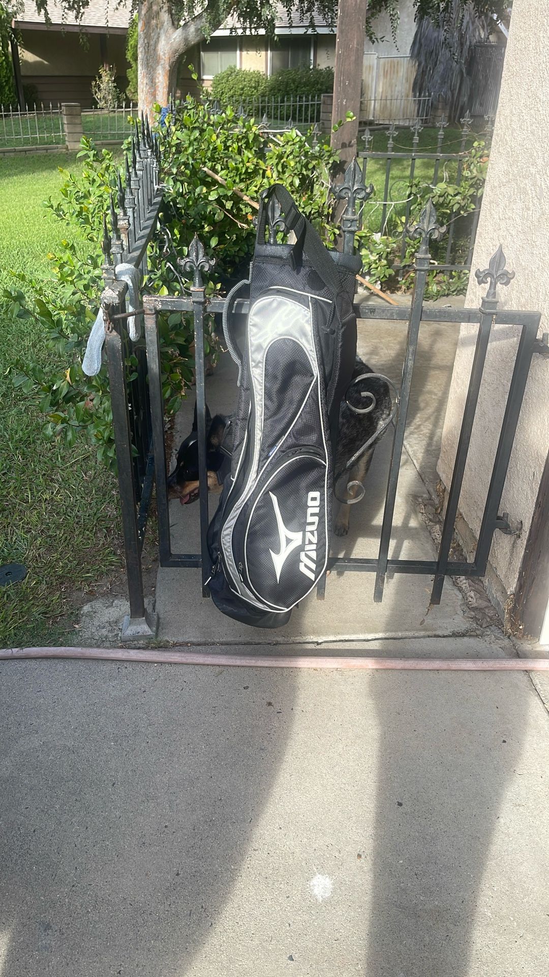 Sunday Mizuno Golf Bag