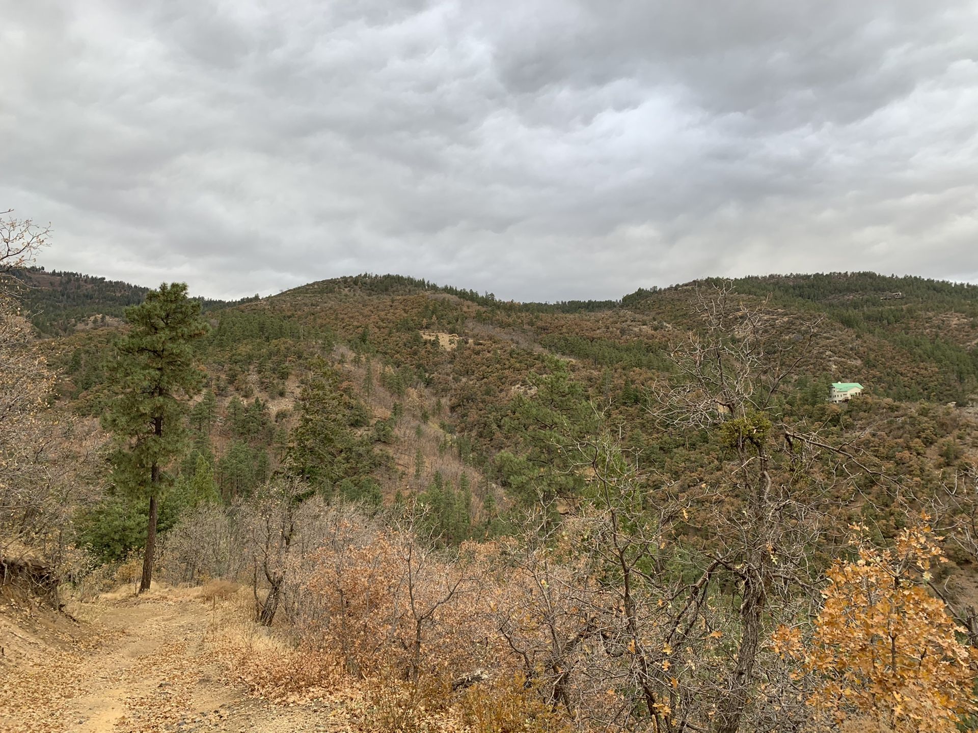 2 acre lot