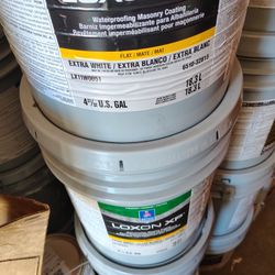20 Gallons Of Exteriors Loxon Paint