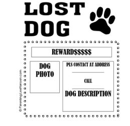 Missing/Perdidos