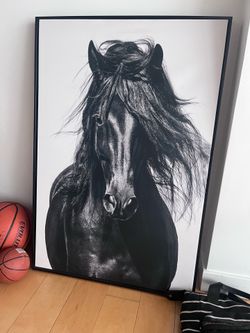 Horse canvas