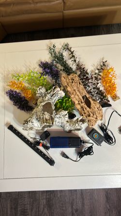 Fish Aquarium Full Set Up