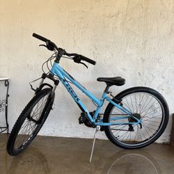 Trek Bike 