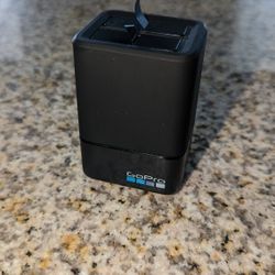 GoPro Battery Charger 