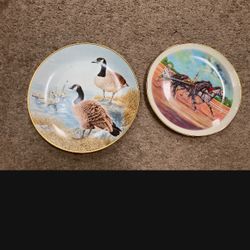 Animal decor plates $10 dollars each