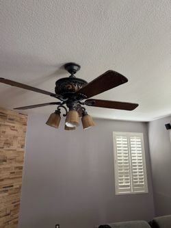 Beautiful fan