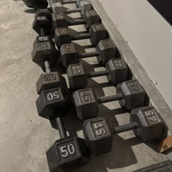 Dumbbell Weights 