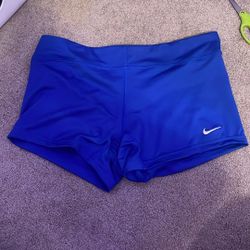 Nike Dri-Fit Shorts Brand New Large 