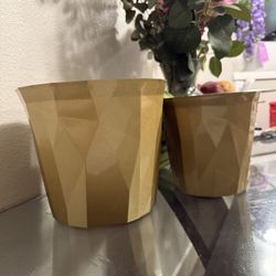 Plant Pots 