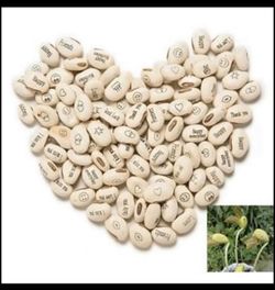 Magic Message Beans (8 Beans)🌱