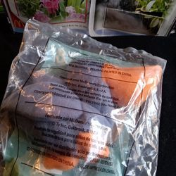 1993 Scoop Ty Beanie Baby 