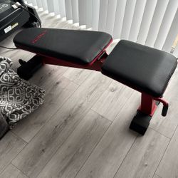 Workout Bench